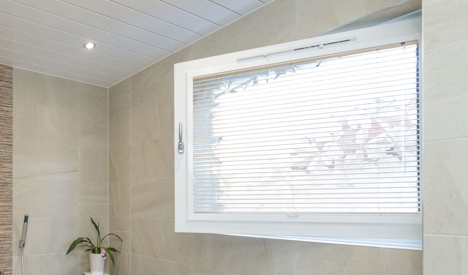 tilt and turn windows alloa