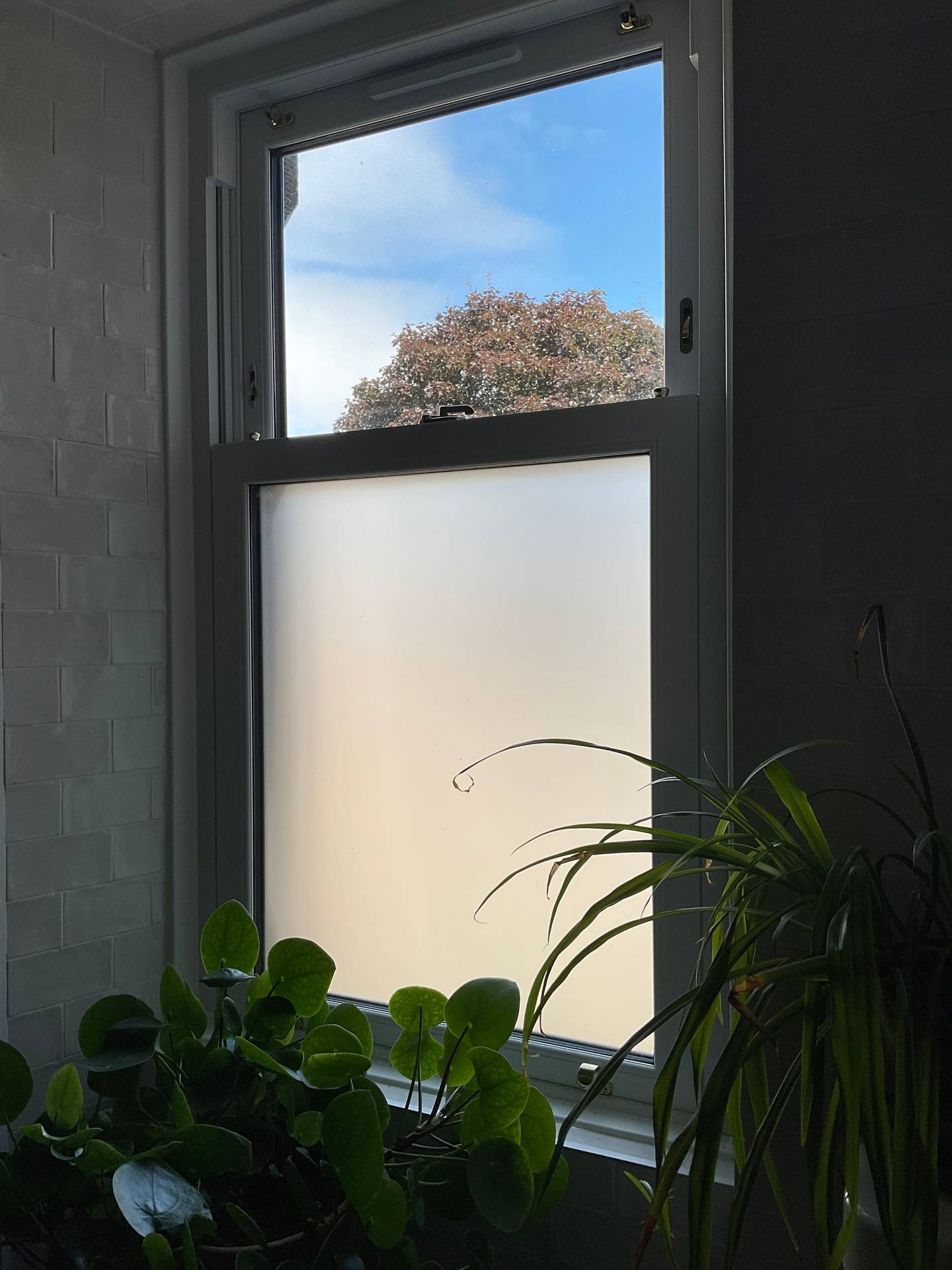 Enhancing Your Home With Sliding Sash Windows In Edinburgh