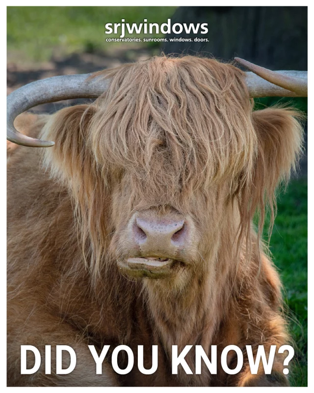 ❓ Did you know? The Royal Highland Show is the biggest agricultural show in Scotland? 

🐄 The event attracts over 4,500 animals, and up to 190,000 visitors annually, showcasing the best of food, farming, and rural life. 🥗🥕🍄‍🟫🍅
❓ Did you know? The Royal Highland Show is the biggest agricultural show in Scotland. 
Want to experience the best that Scotland has to offer your home? 🏠

SRJ offers a range of high quality products and services to homeowners in and around Fife and Edinburgh. ✨

Explore our website for more information on our product range and consultancy service. 

https://www.srjwindows.com/